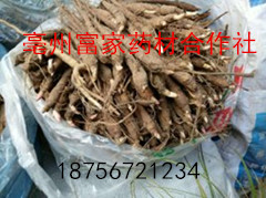 赤芍苗批发