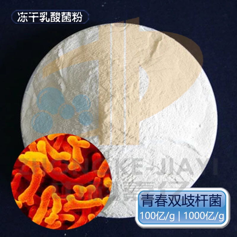 青春双歧杆菌 冻干乳酸菌原料菌种 益生菌粉食品添加剂