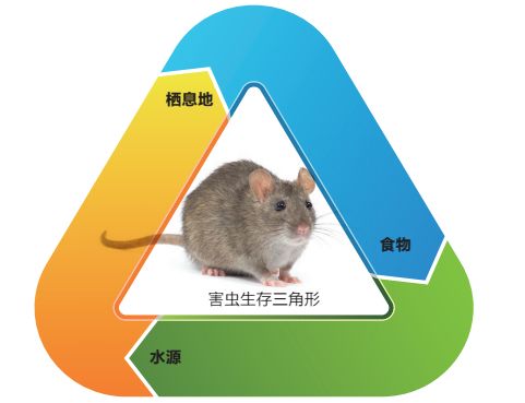 成都武侯区灭鼠公司|武侯区灭鼠公司|武侯区***灭鼠公司