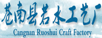 苍南明日信息技术有限公司