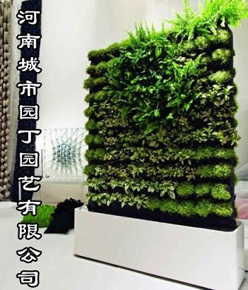 郑州室内绿植墙制作_立体垂直绿化_河南城市园丁园艺有限公司