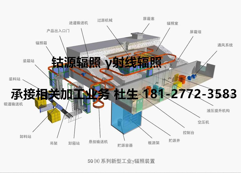 高分子材料辐照改性  辐照交联  伽马射线辐照