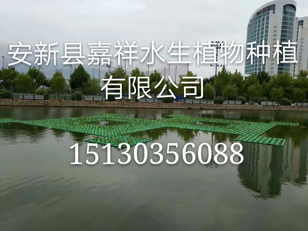 采购生态浮岛 人工浮岛生产厂家批发可提供组装技术