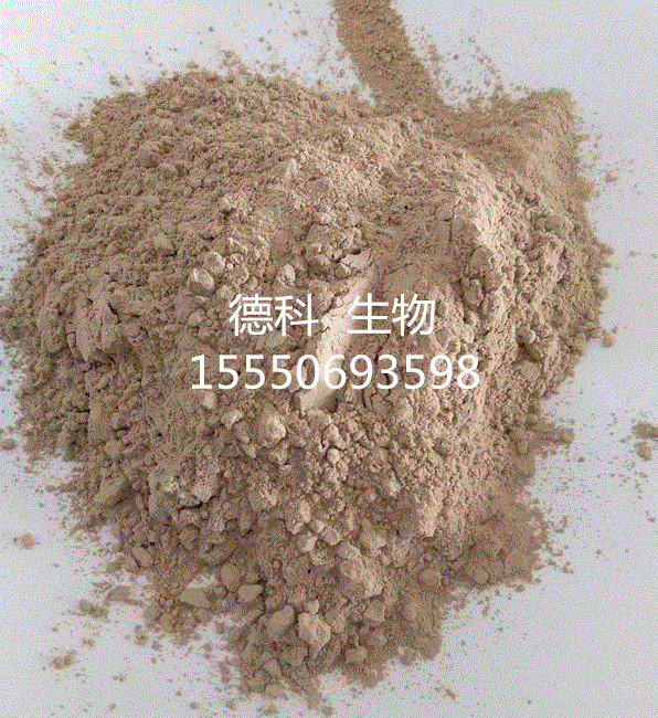 ***植酸酶厂家，植酸酶的批发，植酸酶的应用
