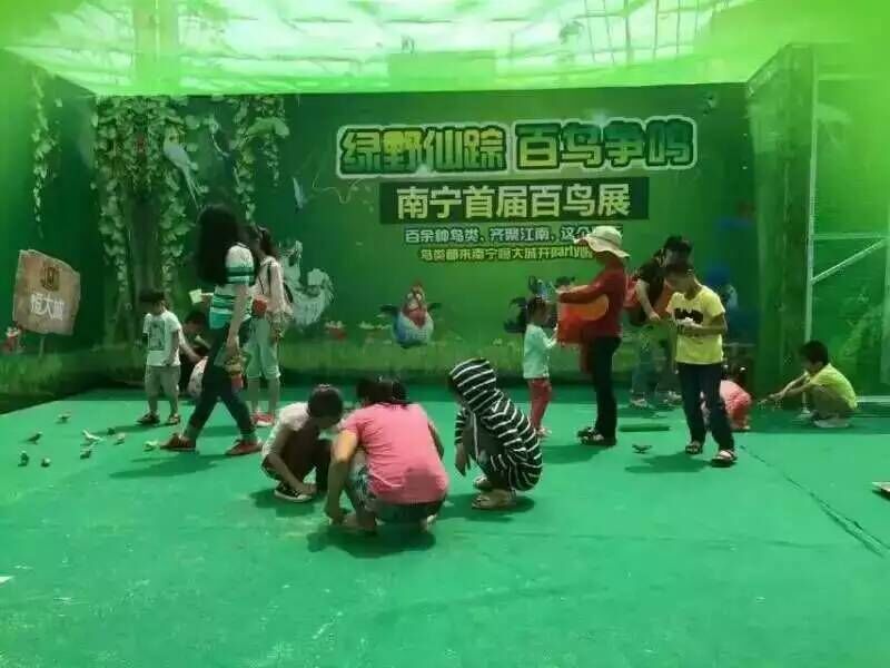 百鸟展出租详询鹦鹉表演聚揽人气百鸟园多种珍禽萌宠租赁