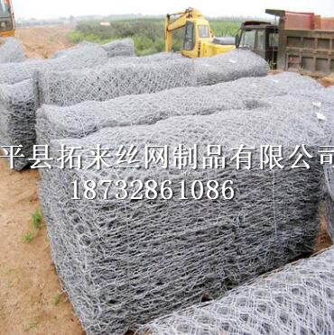电焊石龙网 边坡防护金属网 安平拓来