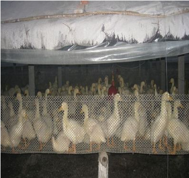 草原围栏网