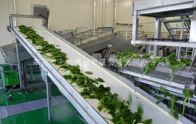 云南省PVC皮带输送流水线滚筒输送机非标设备的安装维护