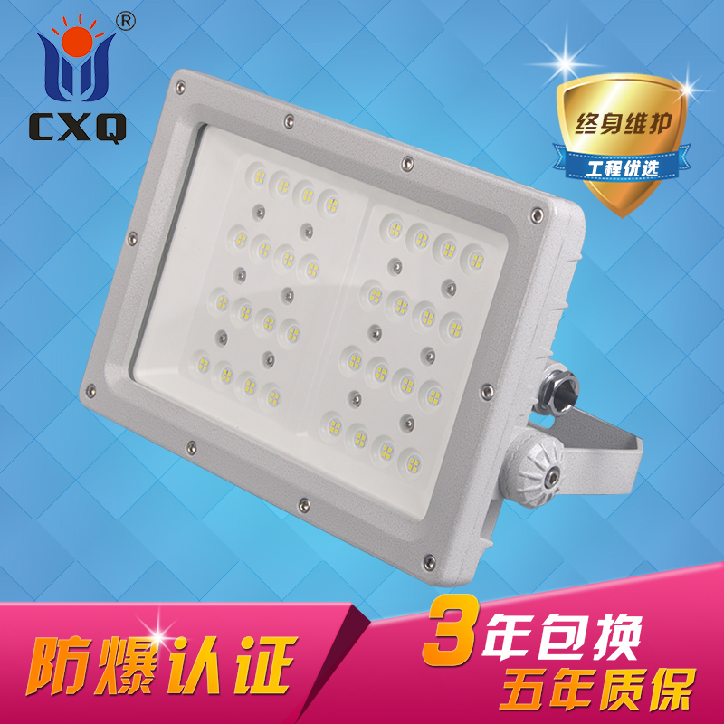 LED防爆投光灯100W