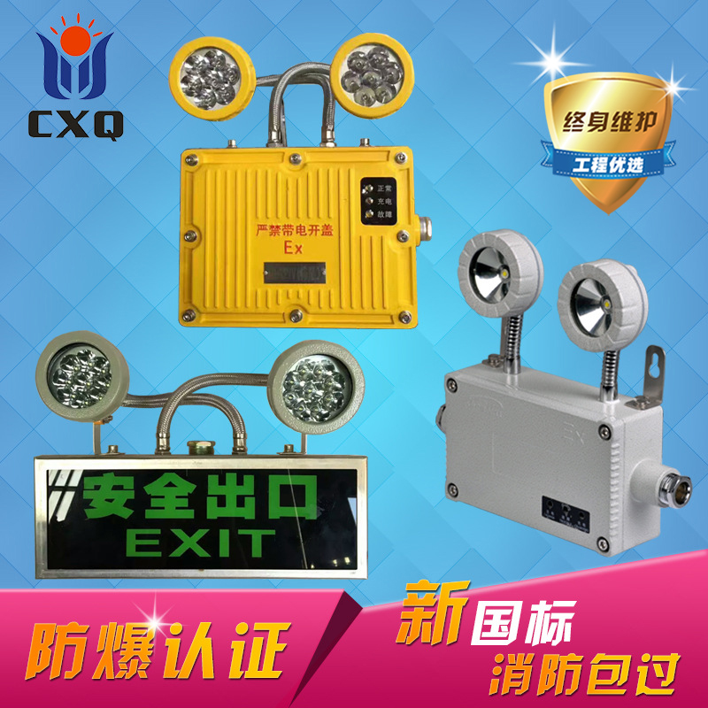 双头防爆应急灯***