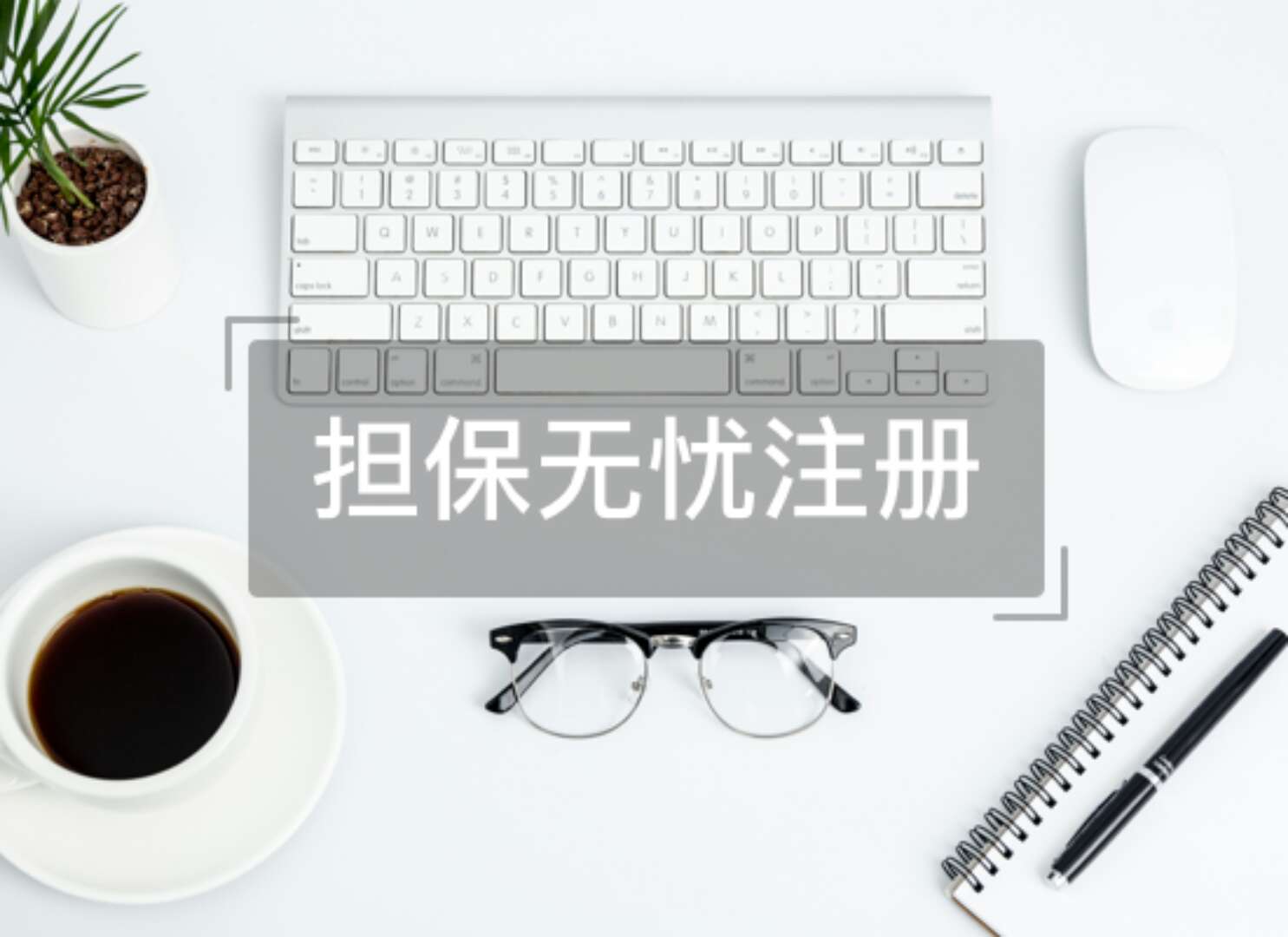 国内商标注册