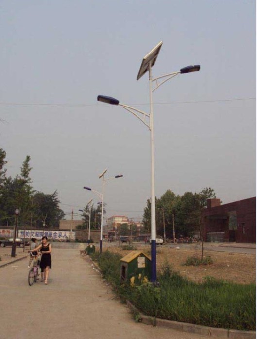 龙凤太阳能路灯-舜源照明路灯厂家