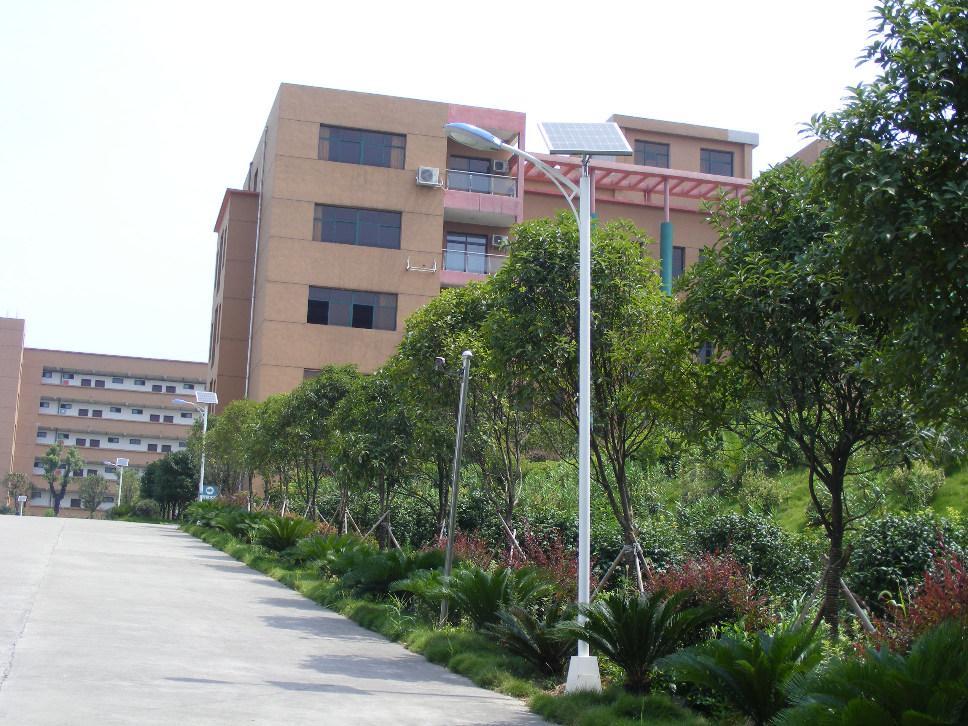 香洲led路灯厂家-价格多少