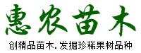 营口市鲅鱼圈区熊岳惠农苗木基地