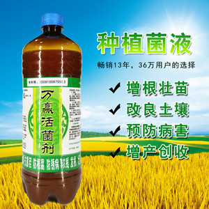 种植EM菌液 选万赢  ***土壤改良剂