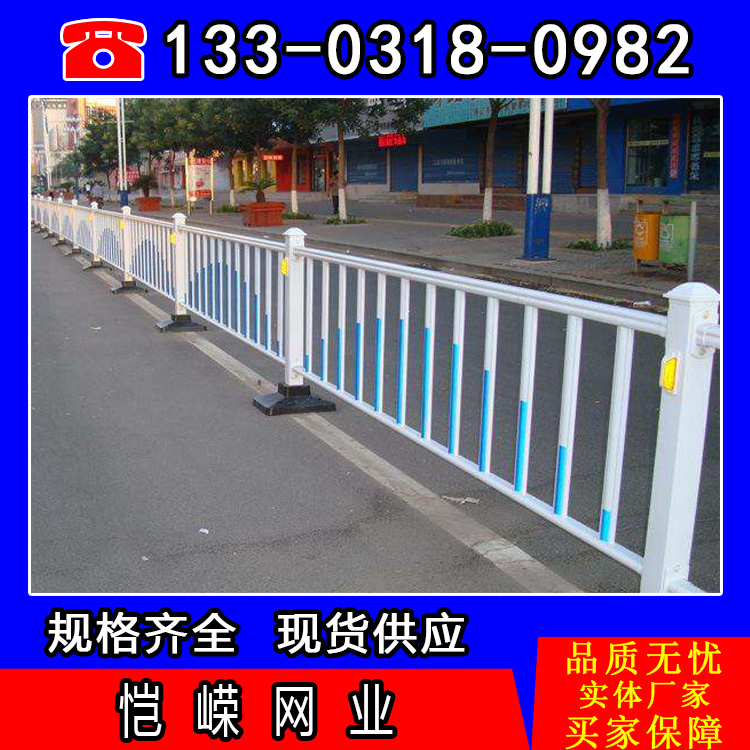 塑钢草坪绿化带花坛防护栏CS 厦门圈地围墙定做