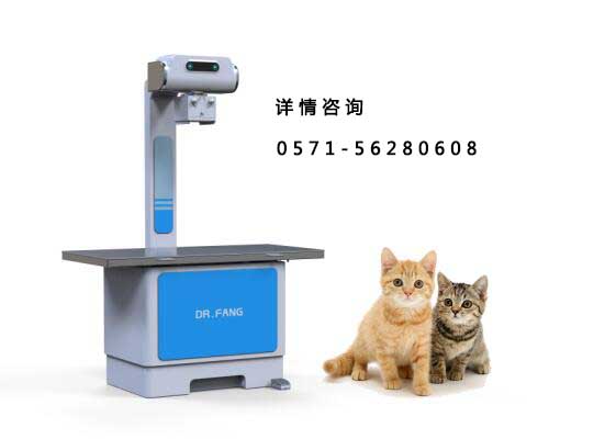 方博士宠物DR，宠物医院品牌之选
