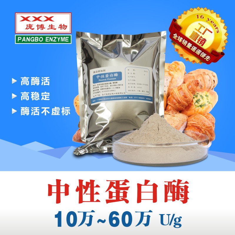 庞博 中性蛋白酶 食品级 10万-60万 蛋白水解生物酶