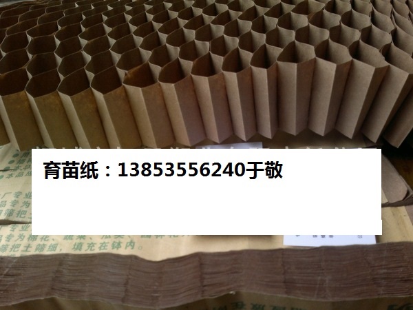 育苗纸，蜂窝育苗纸册、甜菜育苗