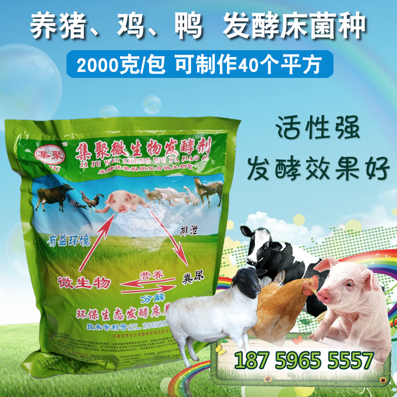 异位发酵床菌种选择集聚，不死床EM菌种，猪粪发酵剂