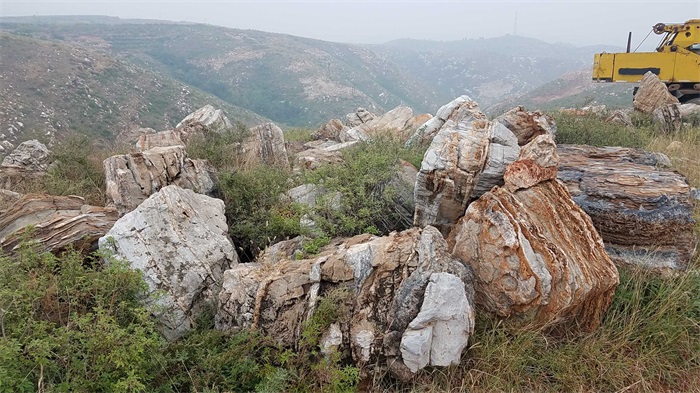张家口大型千层石厂家_梦岳(***供应商)_产地批发零售