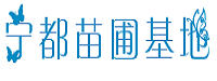 纽荷尔脐橙苗合作社
