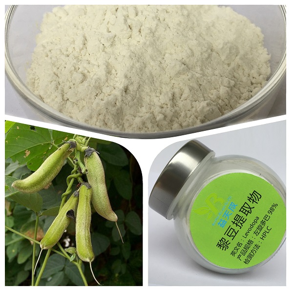 桂林益天成生物黎豆提取物猫豆提取物5%-99%
