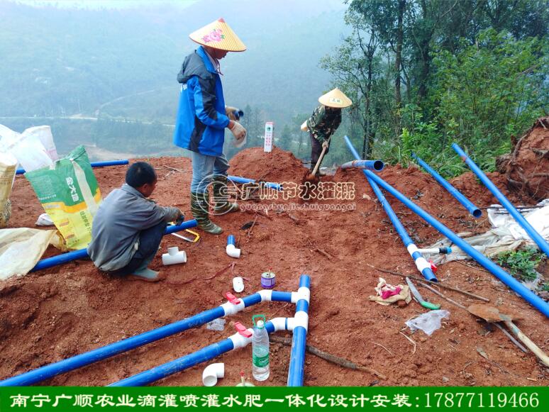 广西果树滴灌水肥一体化技术知识（南宁广顺公司提供）