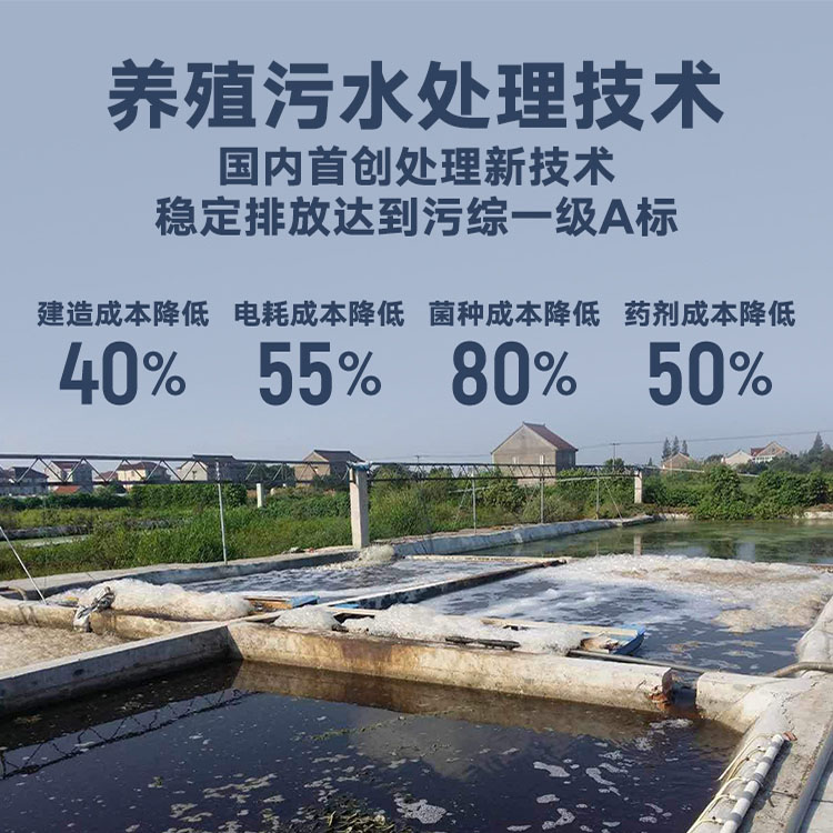 鸿淳环保养殖污水处理技术