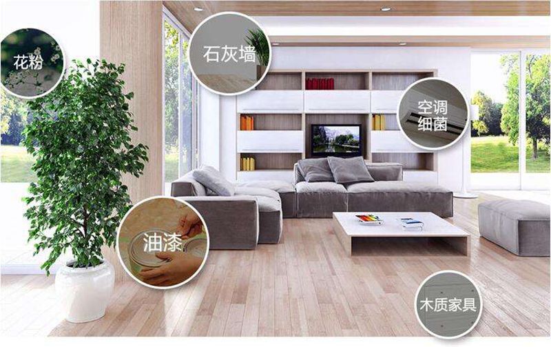 义乌除甲醛公司，改善环境，开始健康。