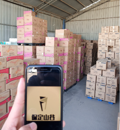维达超韧舒适卷轴装1800g/卷*10卷/提  商超批发货源