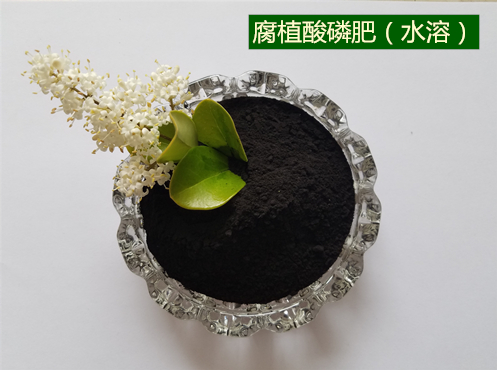 腐植酸磷肥（水溶）