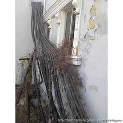 衡水市10000V三芯电缆线回收（二手三芯电缆线价格）高压电力电缆线回收