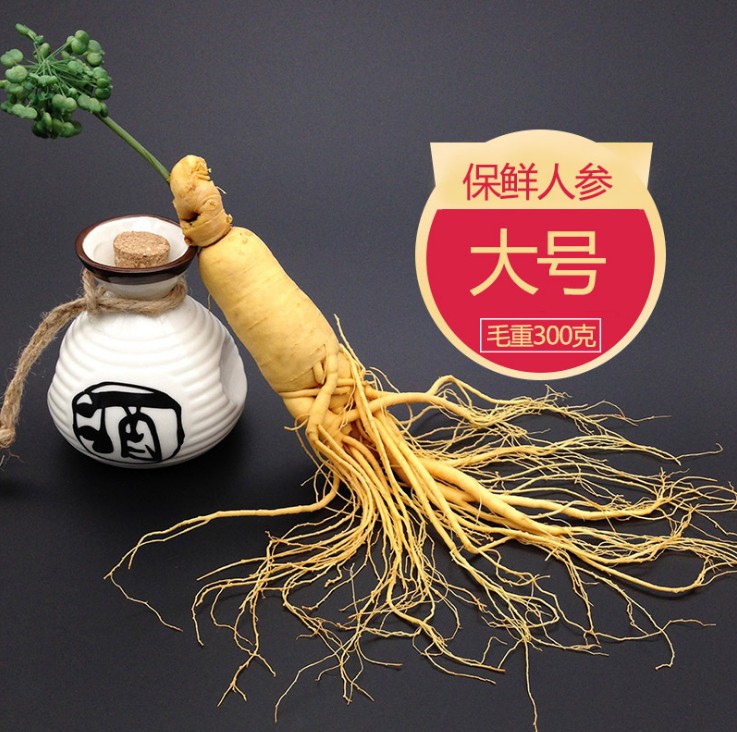 东北鲜参 新鲜人参煲鸡煲猪骨汤 林下参长白山滋补泡酒