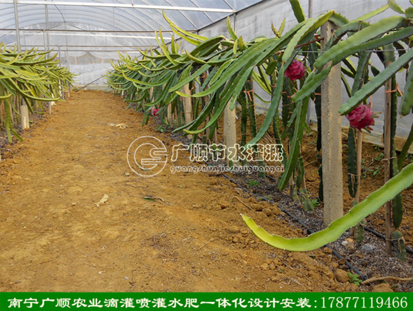 贴片式滴管带 广西滴灌管 南宁滴灌设备
