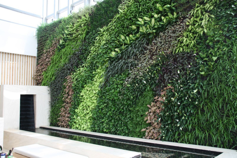 郑州市春辉绿植墙厂家各类型仿真植物墙