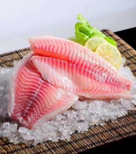 罗非鱼是鲷鱼吗 湛江余鲜家生鲷鱼片 加吉鱼批发 10磅一箱
