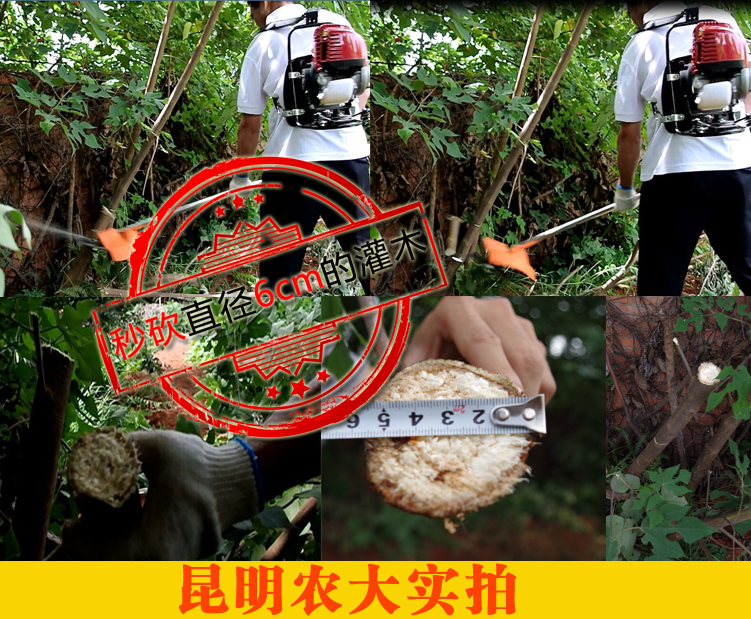 本田割草机 小型割灌机 锄草 松土一体