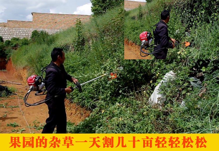 割草松土机 背负式多功能锄草机 背式除草松土机