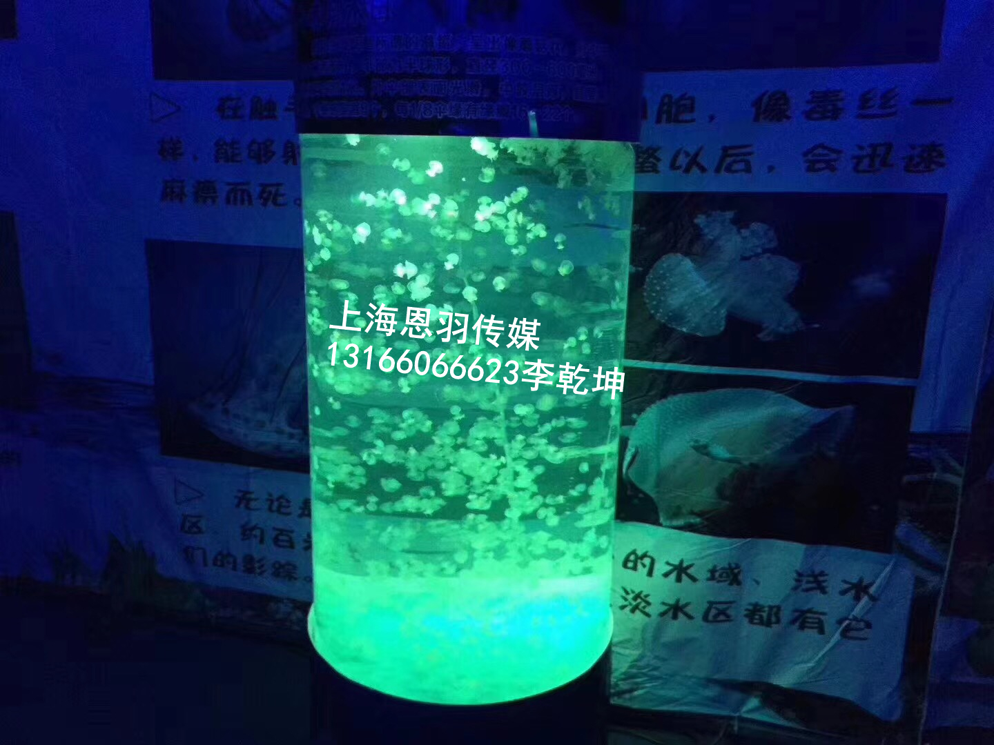 大型房地产活动海洋展租赁