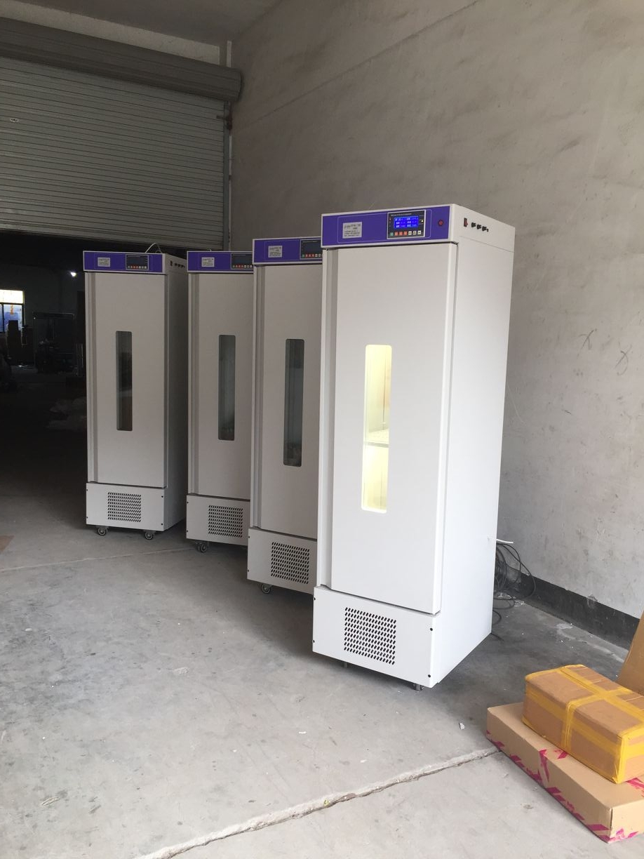 山西冷光源低温光照培养箱