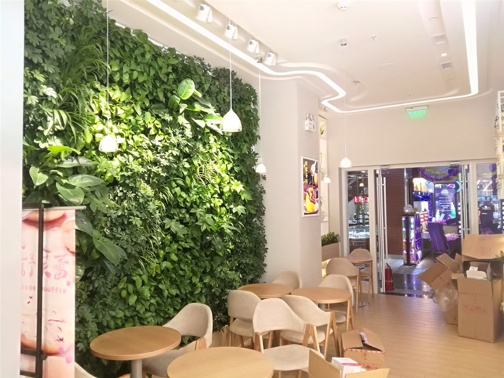 石家庄植物绿墙绿色植物墙