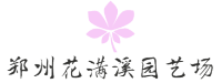 郑州市惠济区花满溪园艺场
