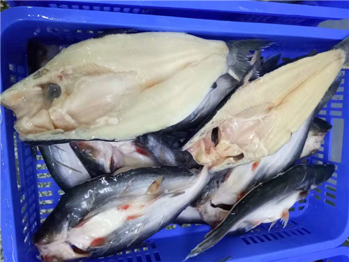 龙利鱼属于什么鱼 水产厂家批发龙利鱼段 开背巴沙鱼腩