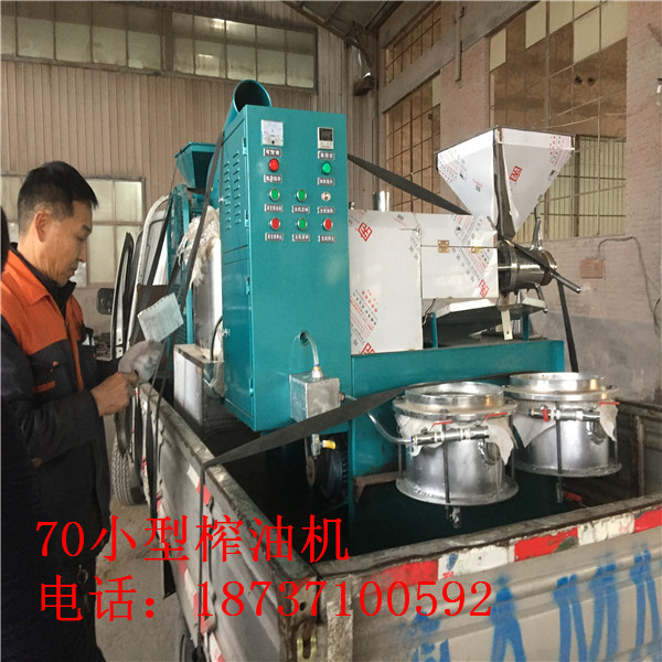 小型移动榨油机