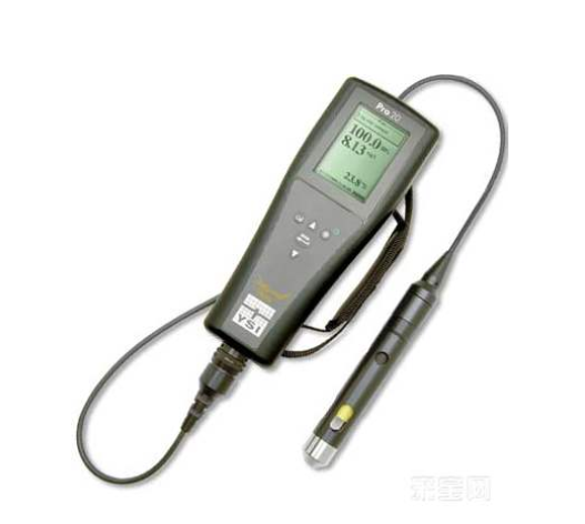 YSI Pro20i溶解氧测量仪