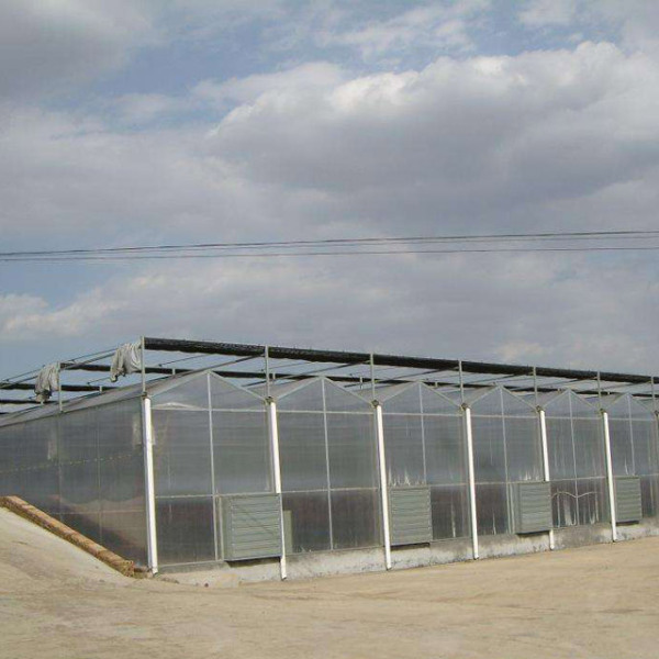 阳光板温室大棚建设