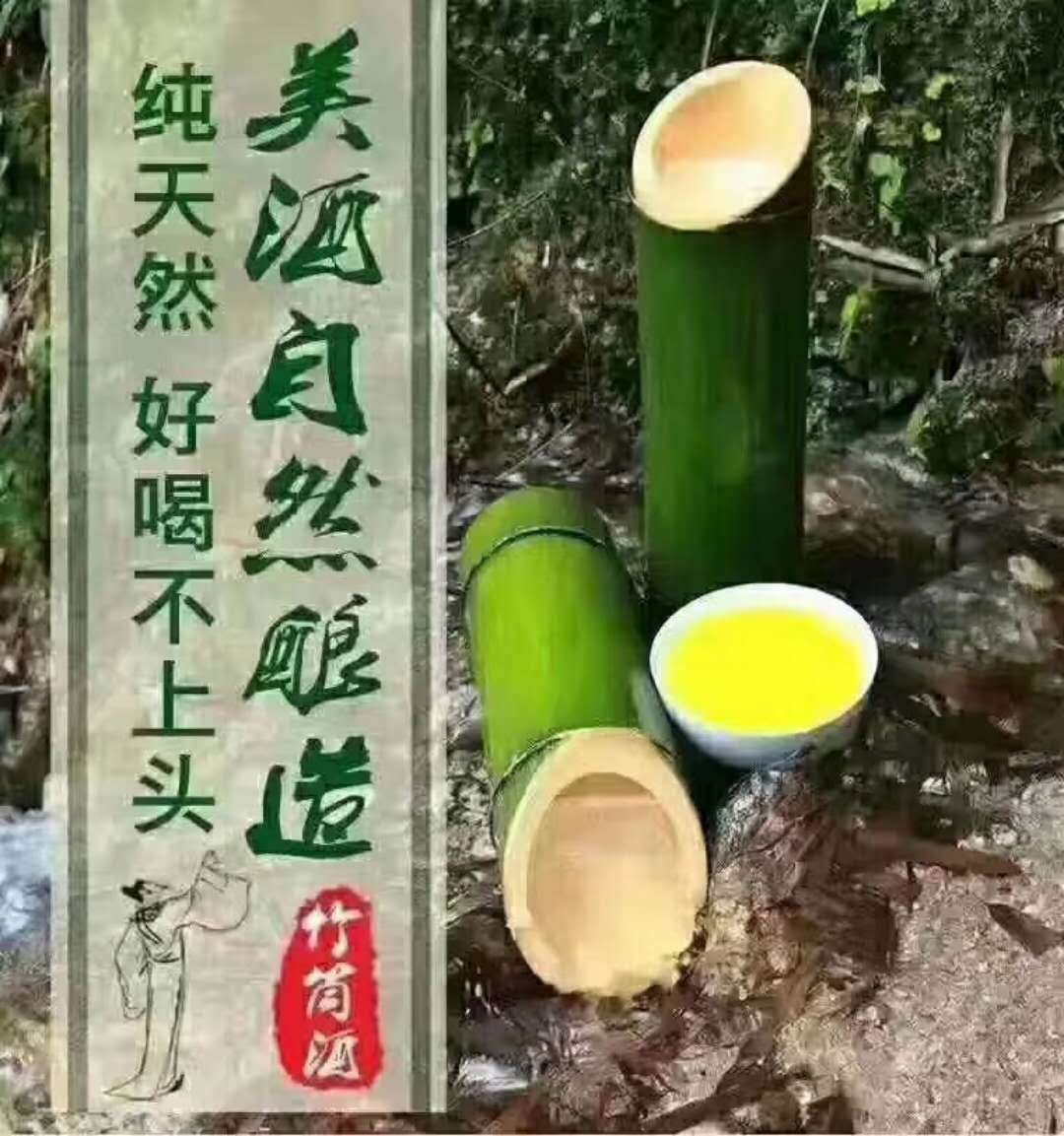 竹筒酒厂家 福建竹筒酒 竹酒 鲜竹酒 活竹酒 竹子酒