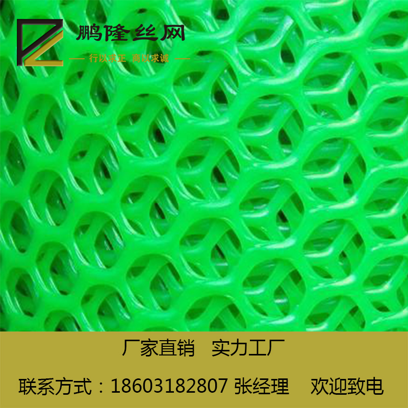 鹏隆 白色塑料平网 养殖塑料网 塑料平网厂家