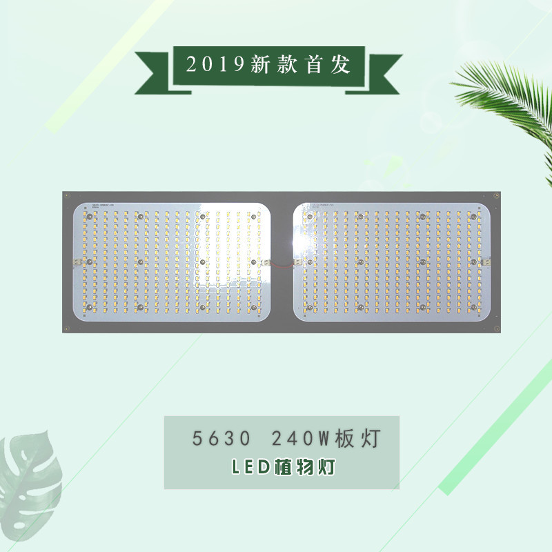 240W量子板植物工厂用led植物生长灯室内种植日照灯
